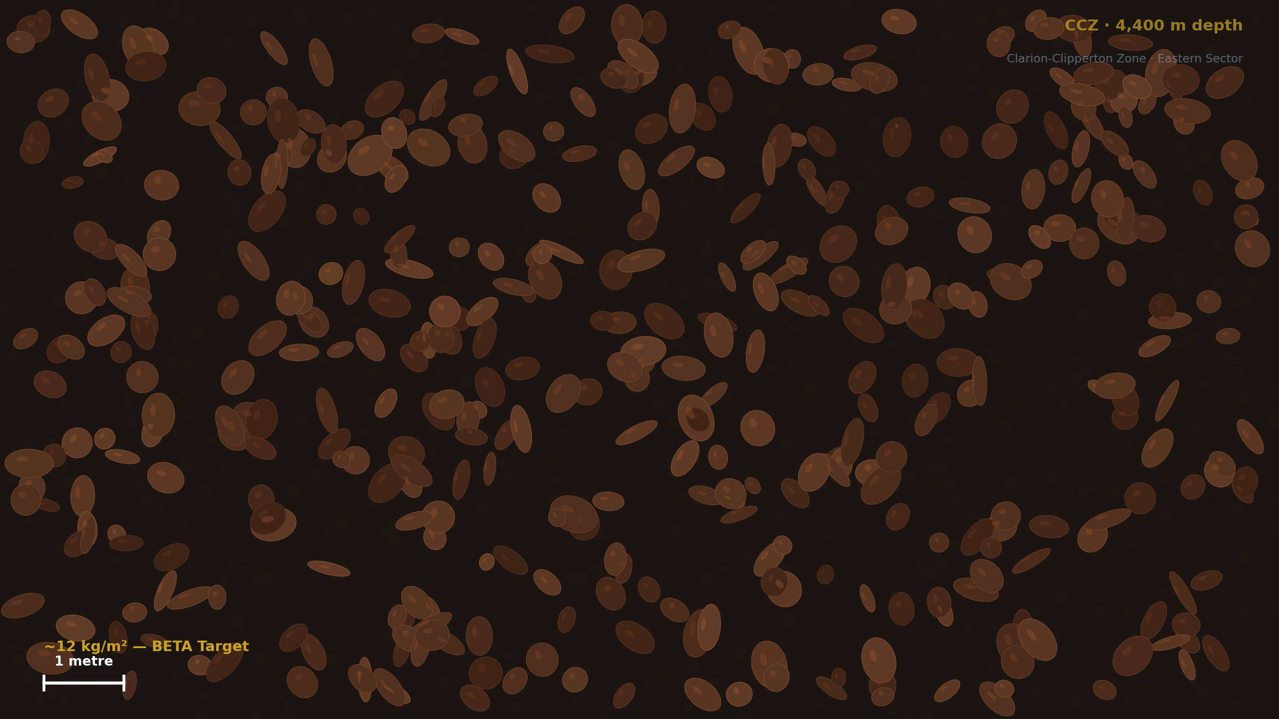 Abyssal Nodule Field — CCZ 4400m
