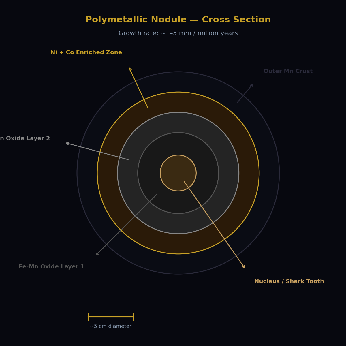 Polymetallic Nodule Cross Section